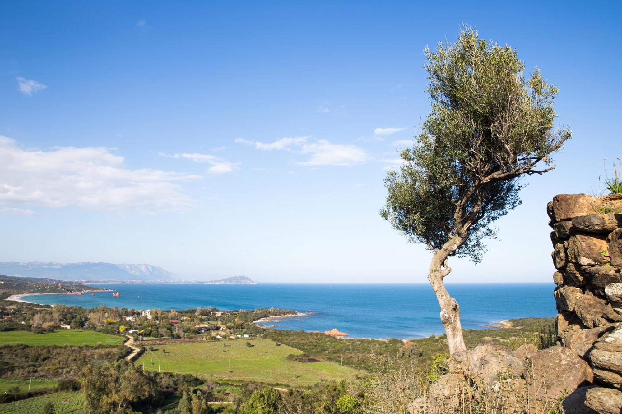 La Pergola Apartments Cardedu Εξωτερικό φωτογραφία